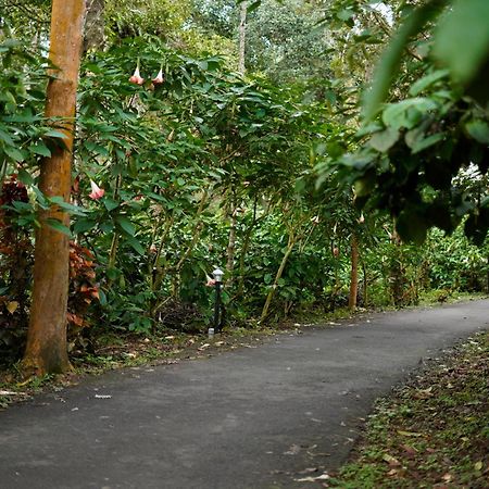 Magnolia Estates & Resorts Virajpet Exterior foto
